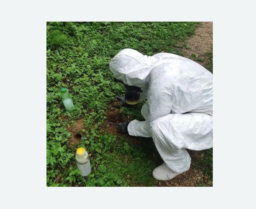 уничтожение кротов на участке в Санкт-Петербурге